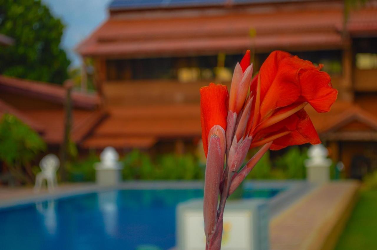 Apartment Anjayu - Ayurveda *