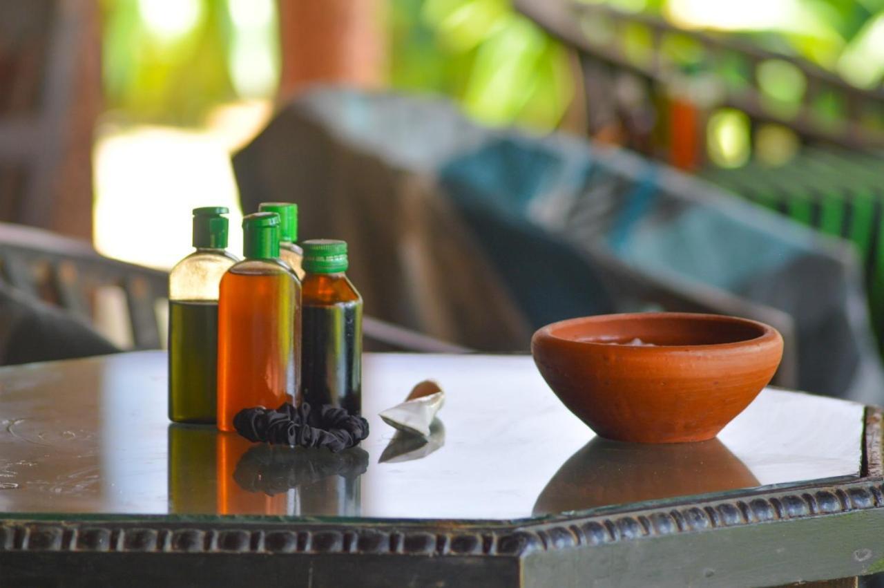 Anjayu - Ayurveda Apartment Wadduwa